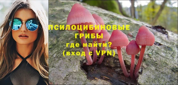 гидра Остров