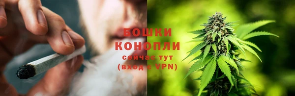 PSILOCYBIN Нязепетровск