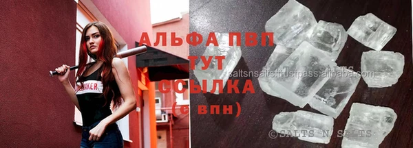 стаф Вуктыл